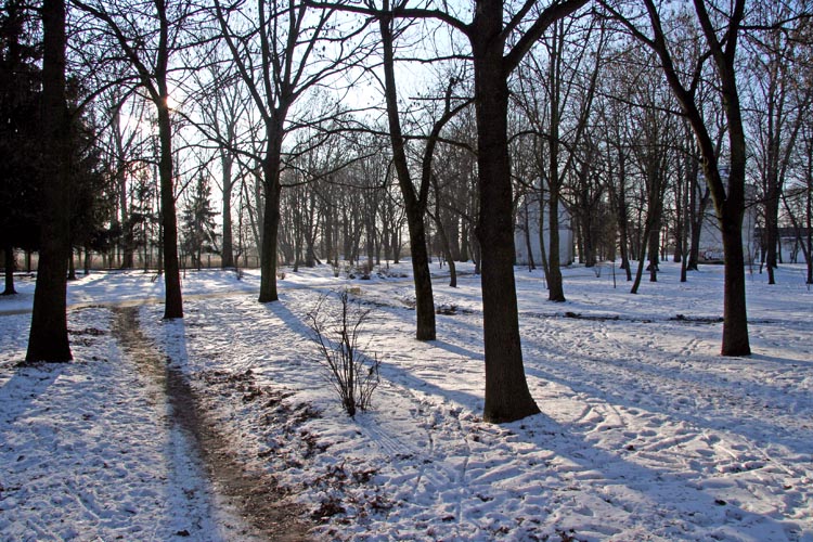 Winter in City Park