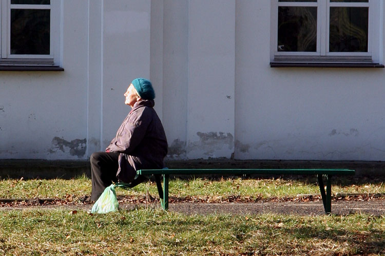 7th February 2009 - Looking on sun, waiting for spring...