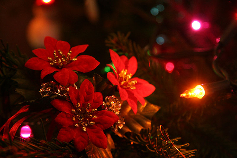 24th December - Christmas Eve