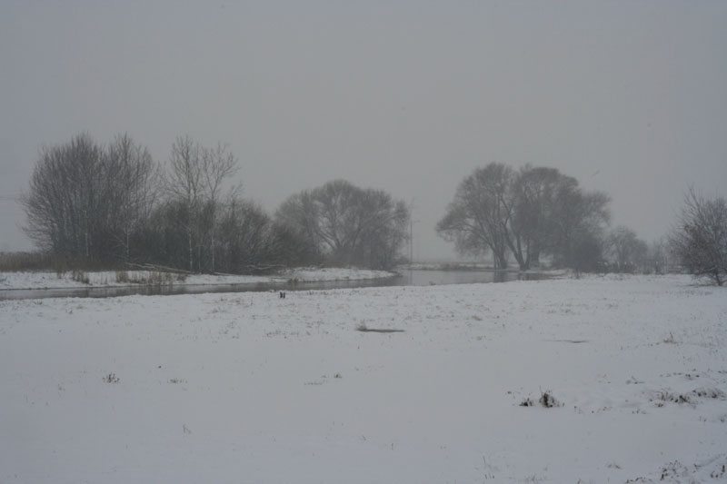 River bend in winter