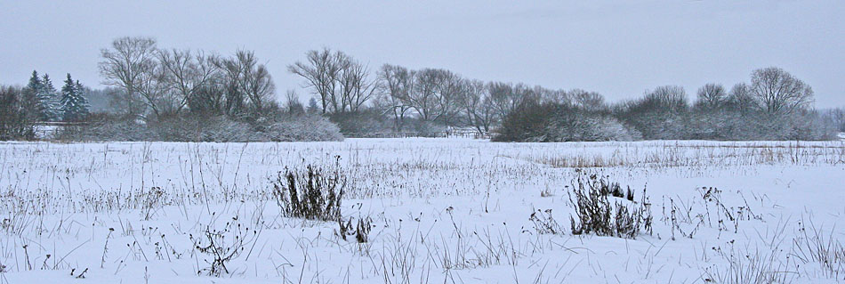 Winter panorama