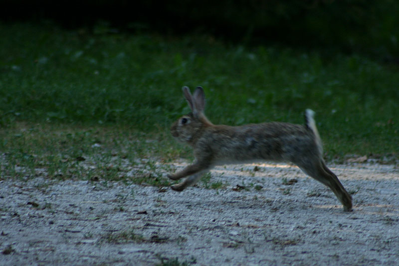 In run