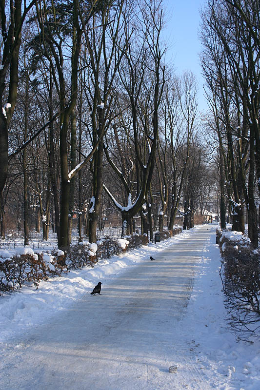 Boulevard