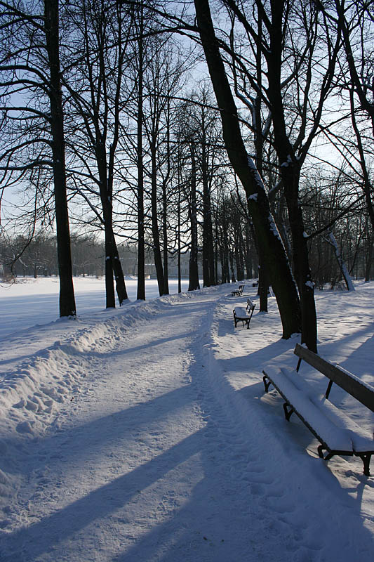 Boulevard