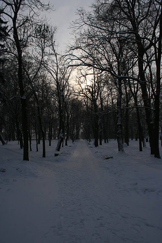Winter