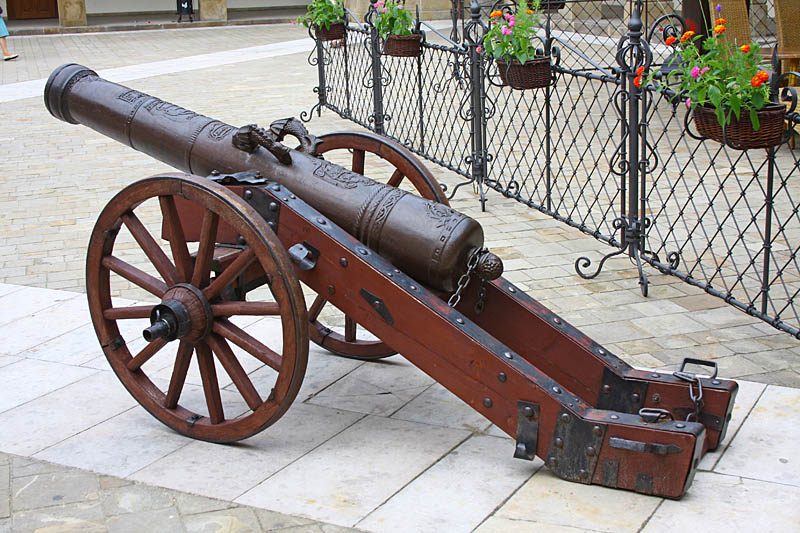 Gun