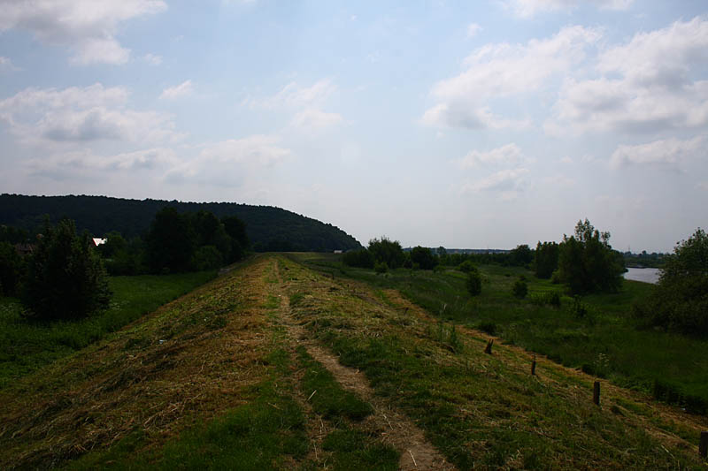 Landscapes