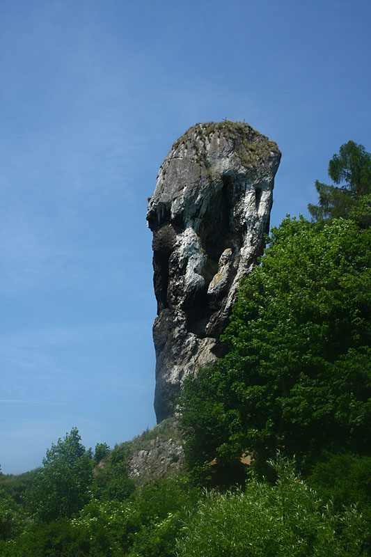 Maczuga Herkulesa