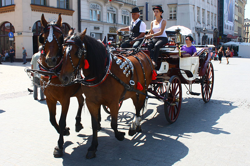 Horse Drawn Carriage