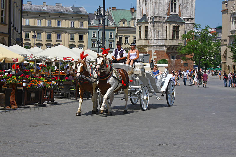 Horse Drawn Carriage