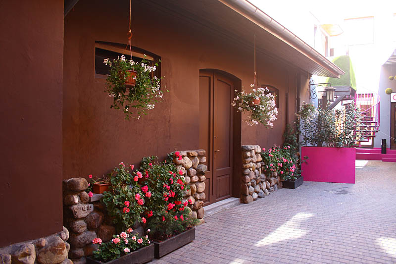 Flowers on wall