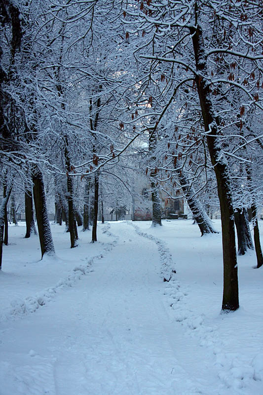 Winter