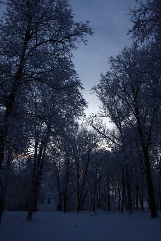 Winter