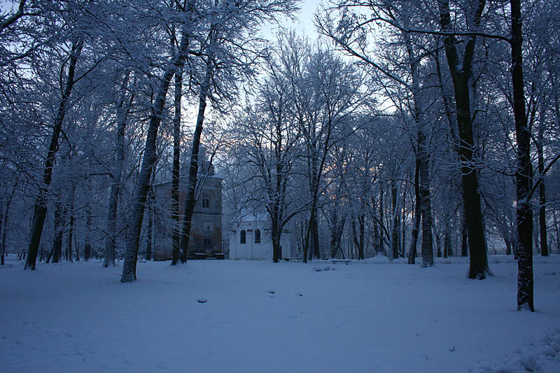 Winter