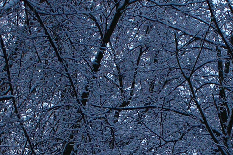 Winter