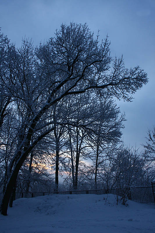 Winter