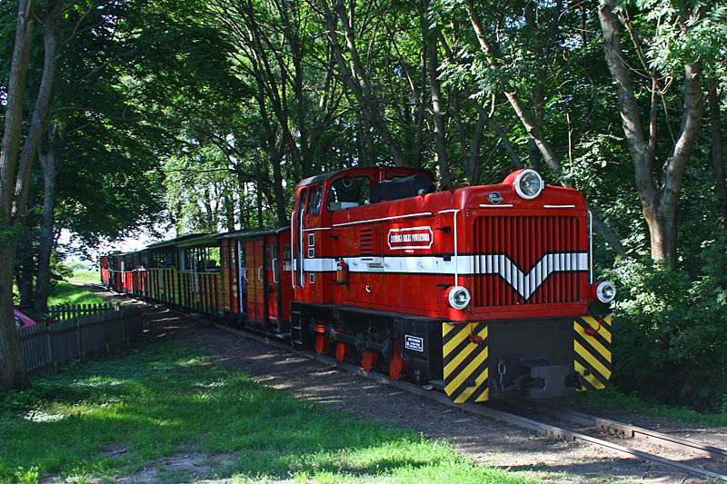 Narrow gauge railway