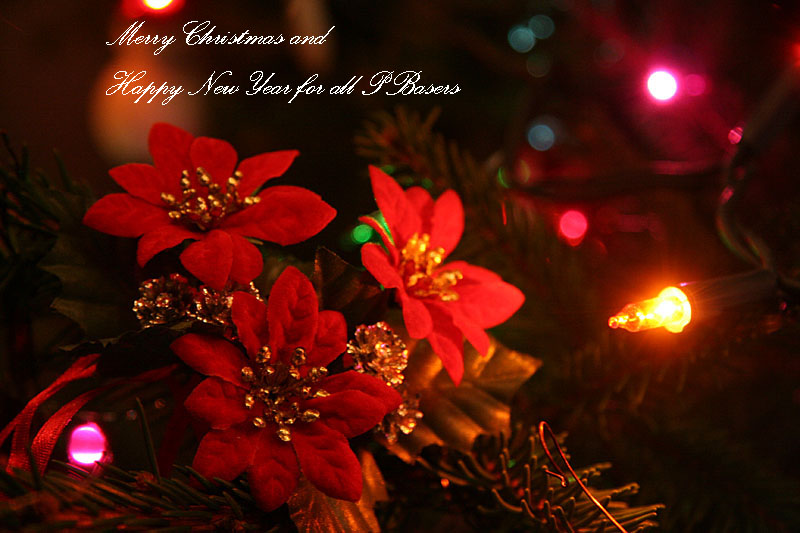 Christmas Greetings