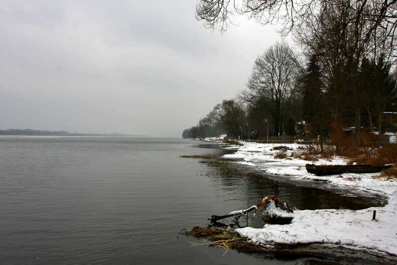 Narew river