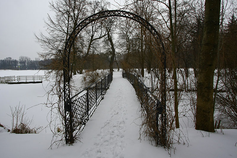 Bridge