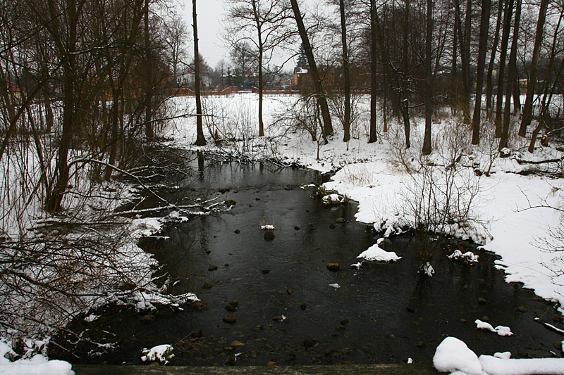 Winter scenery