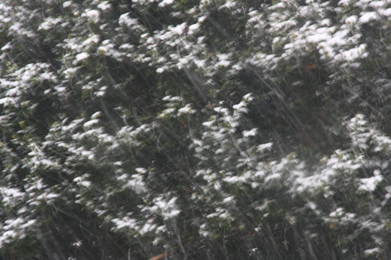 Intensive snow falling - Good Friday two days before Easter