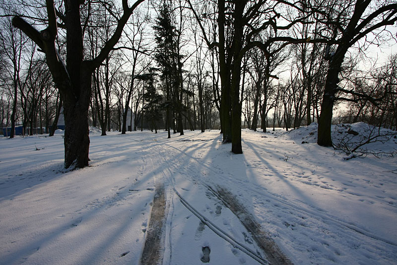 Morning light - Good Saturdays morning in City Park