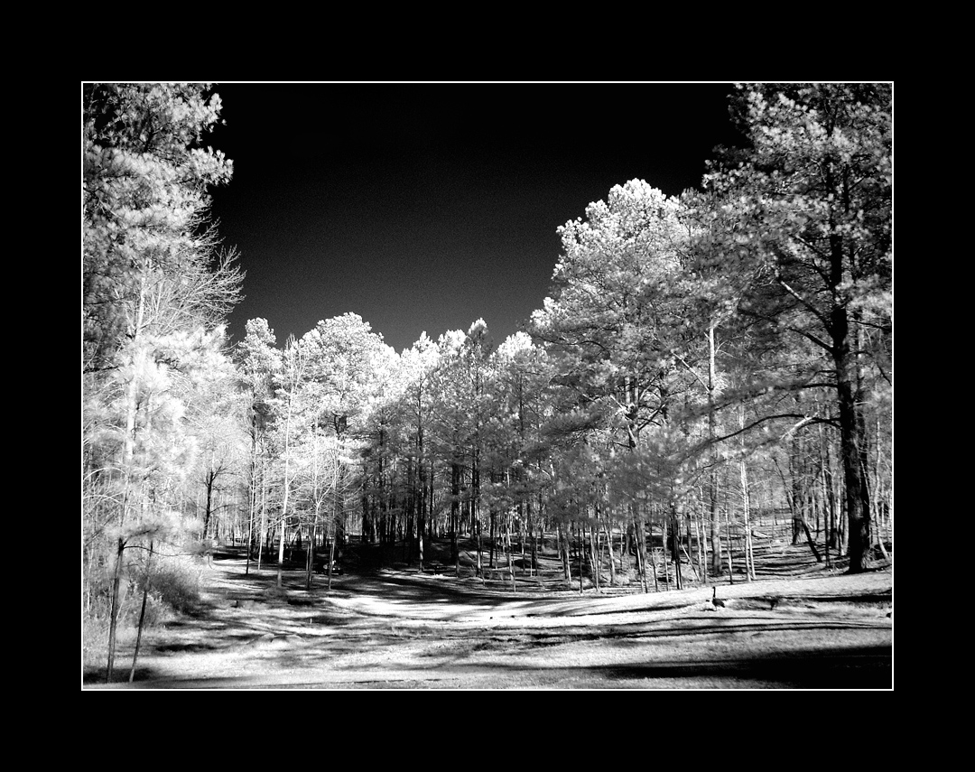 IR park