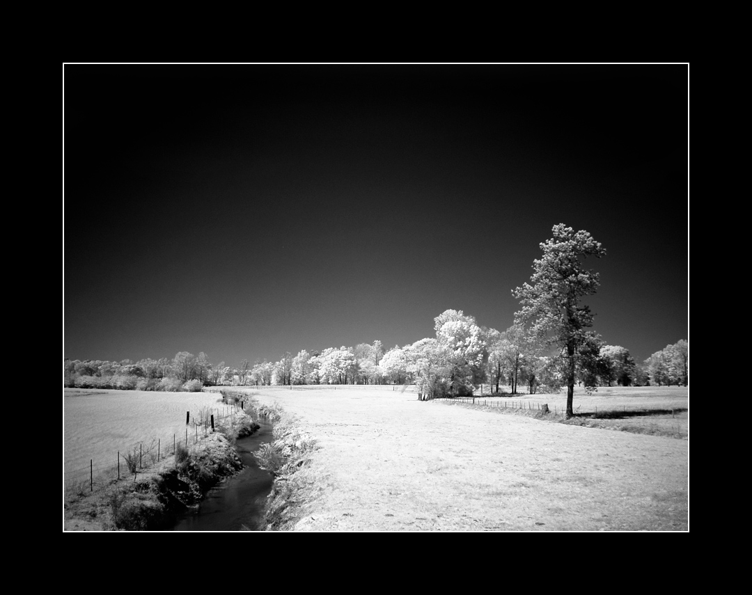 field & stream