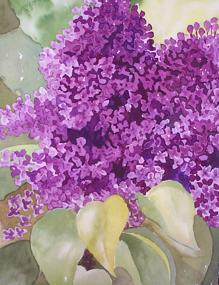 Lilacs