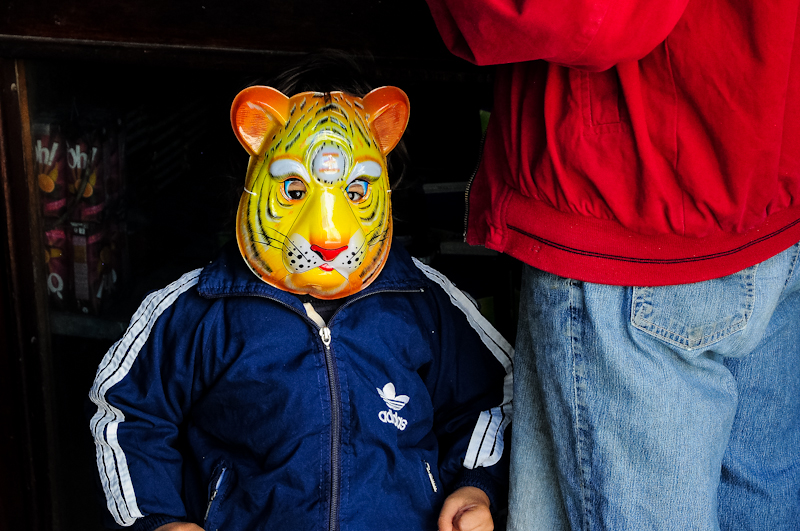 Tiger Man, Medina of Tunis