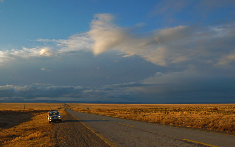 Pampa magallanica, Punta Arenas, Chile