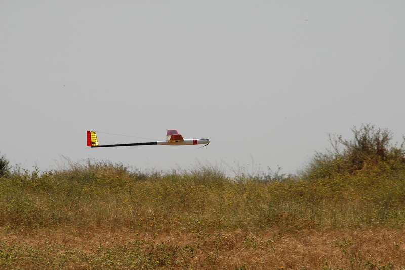 DSC_0446.JPG