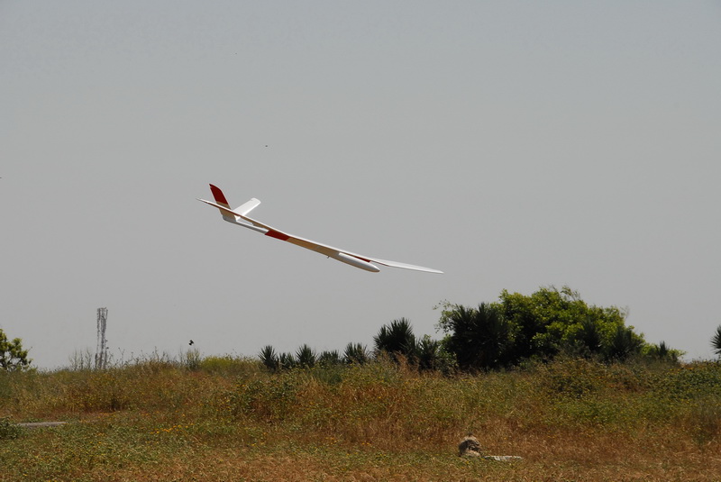 DSC_0462.JPG