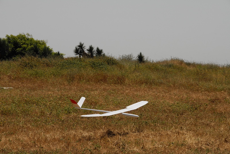 DSC_0464.JPG