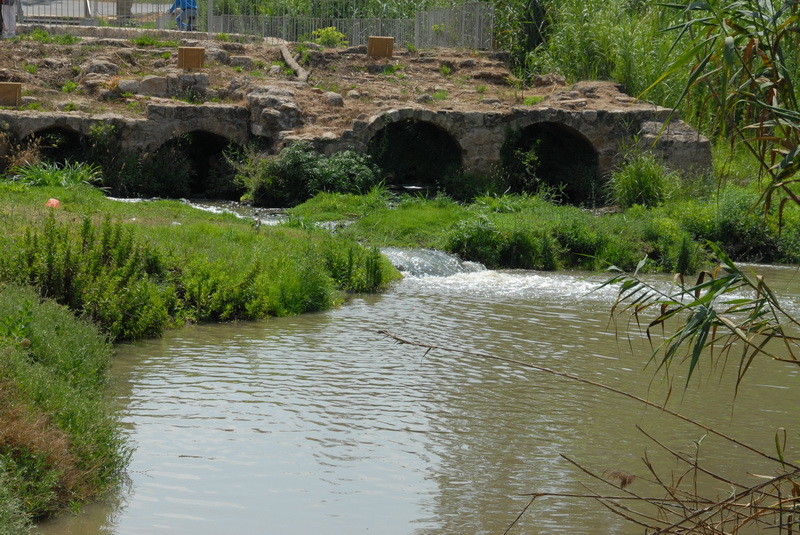 DSC_0437.JPG