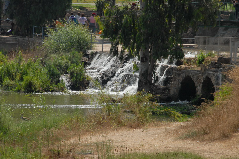 DSC_0444.JPG