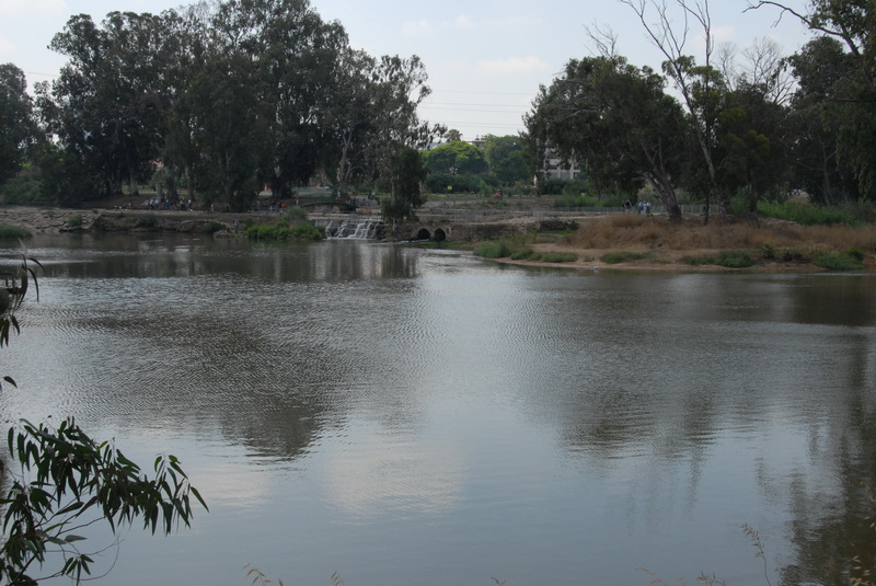 DSC_0450.JPG