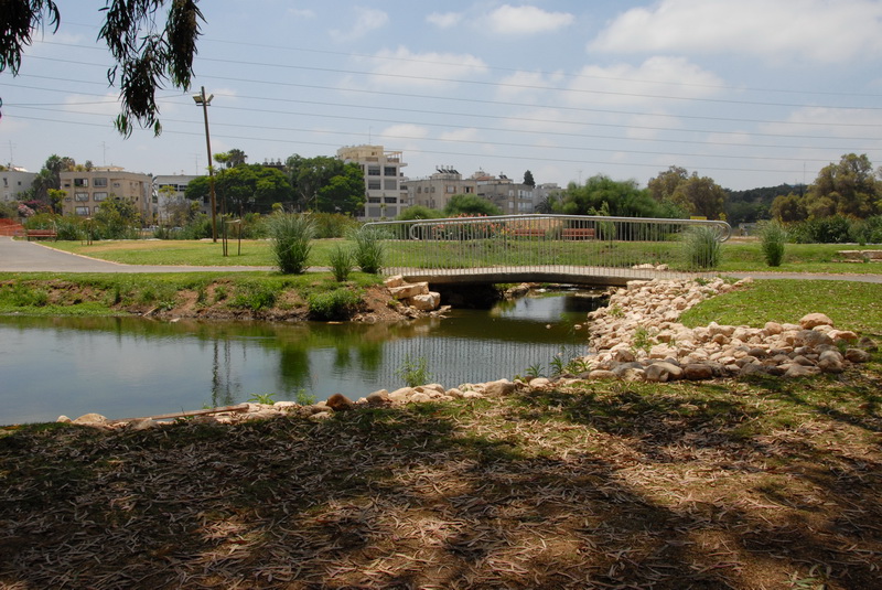 DSC_0519.JPG