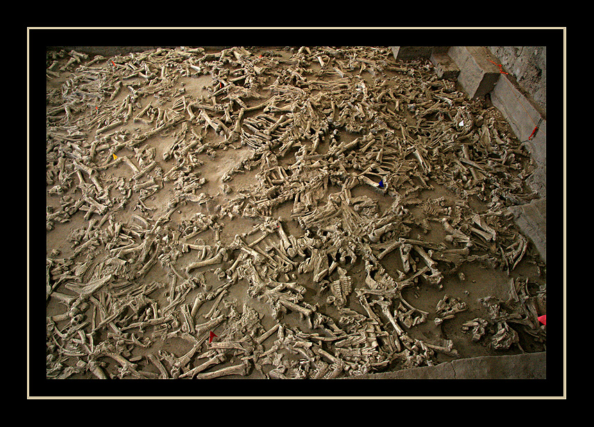 Hudson-Meng Bison Kill Site