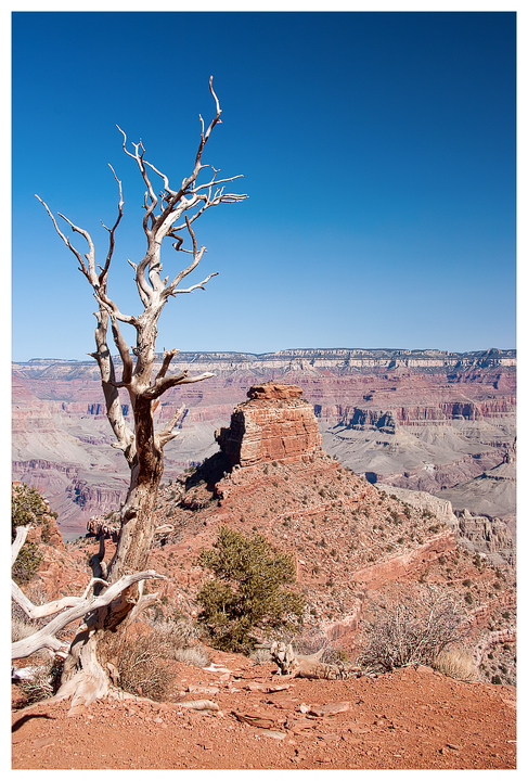 ONeill Butte