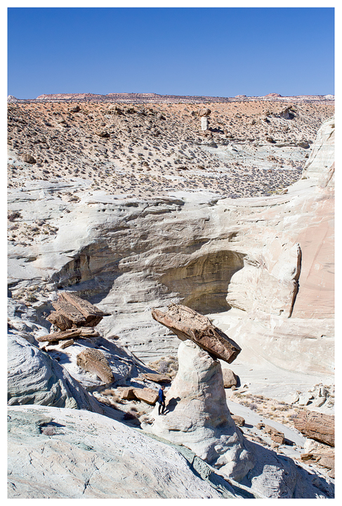 Stud Horse Point