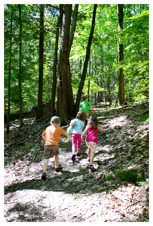 Hiking at Pinewoods Park