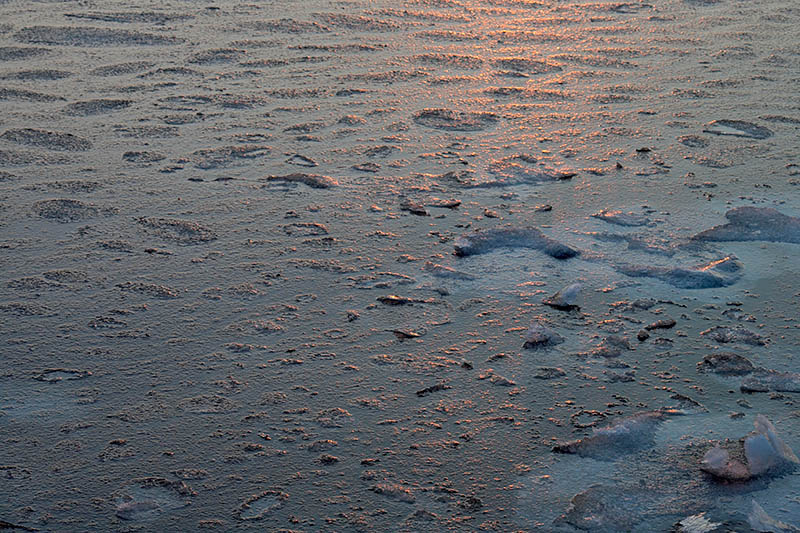 ice sunset.jpg