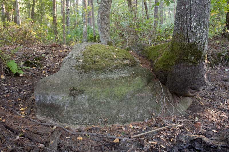 20070925_165100.jpg