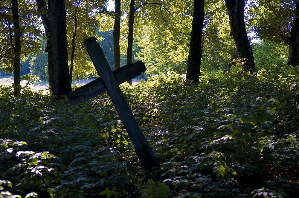 Zmijowiska