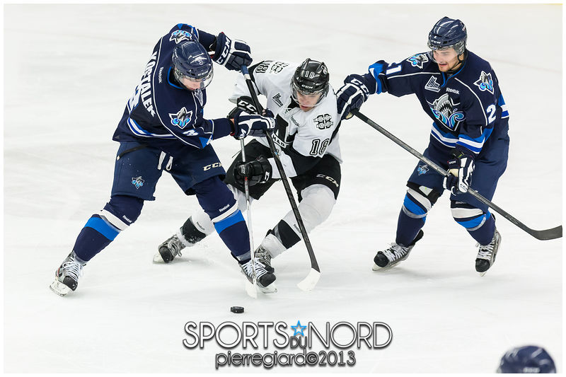 20130105 - Armada vs Rimouski-83.jpg