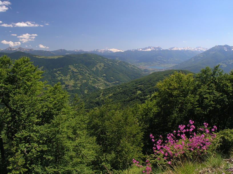 Blick zum Plavsko jezero