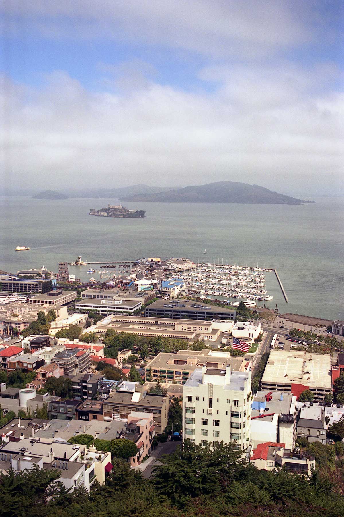 SF bay Reala