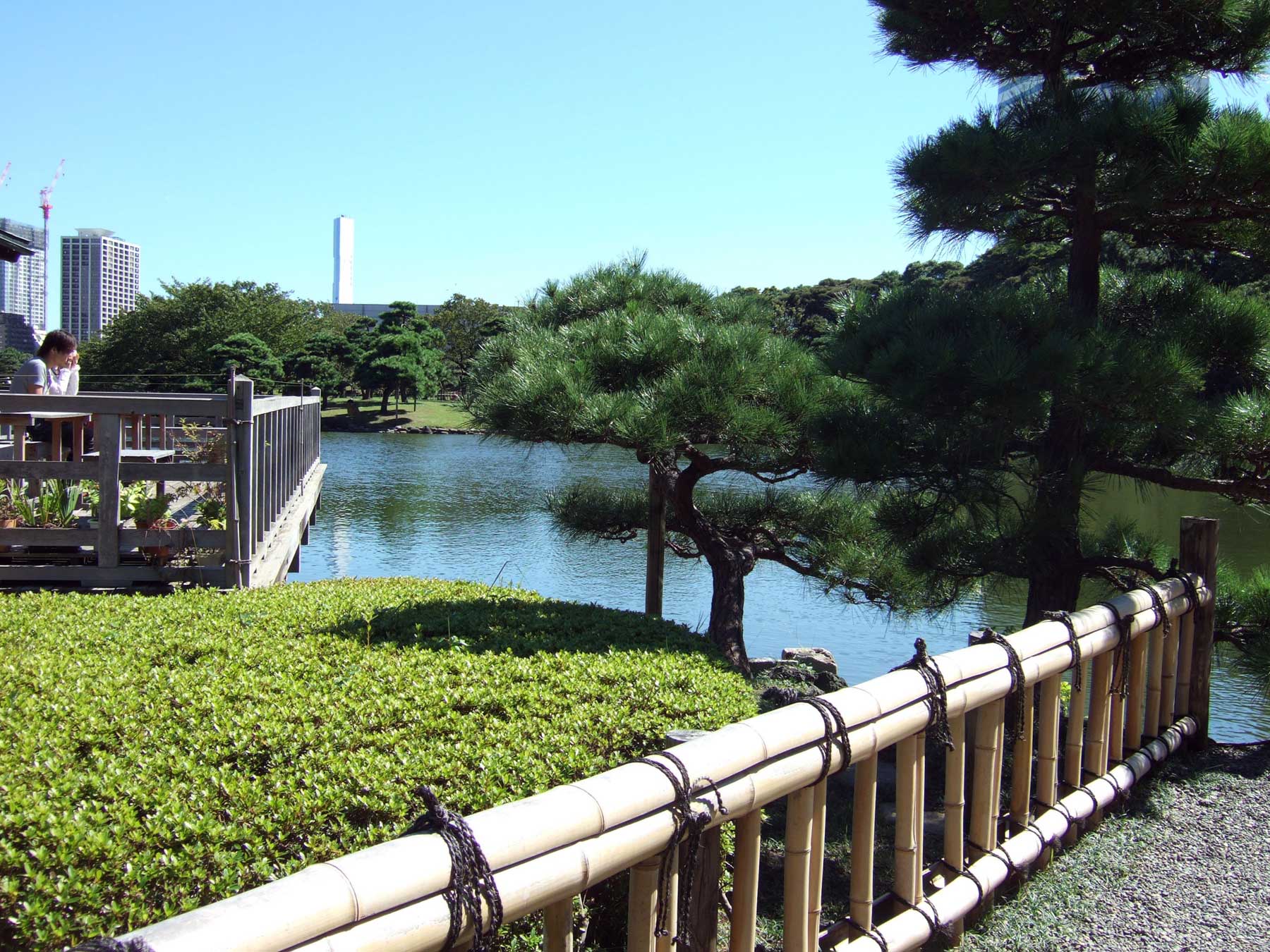 Hamarikyū park in Tokyo